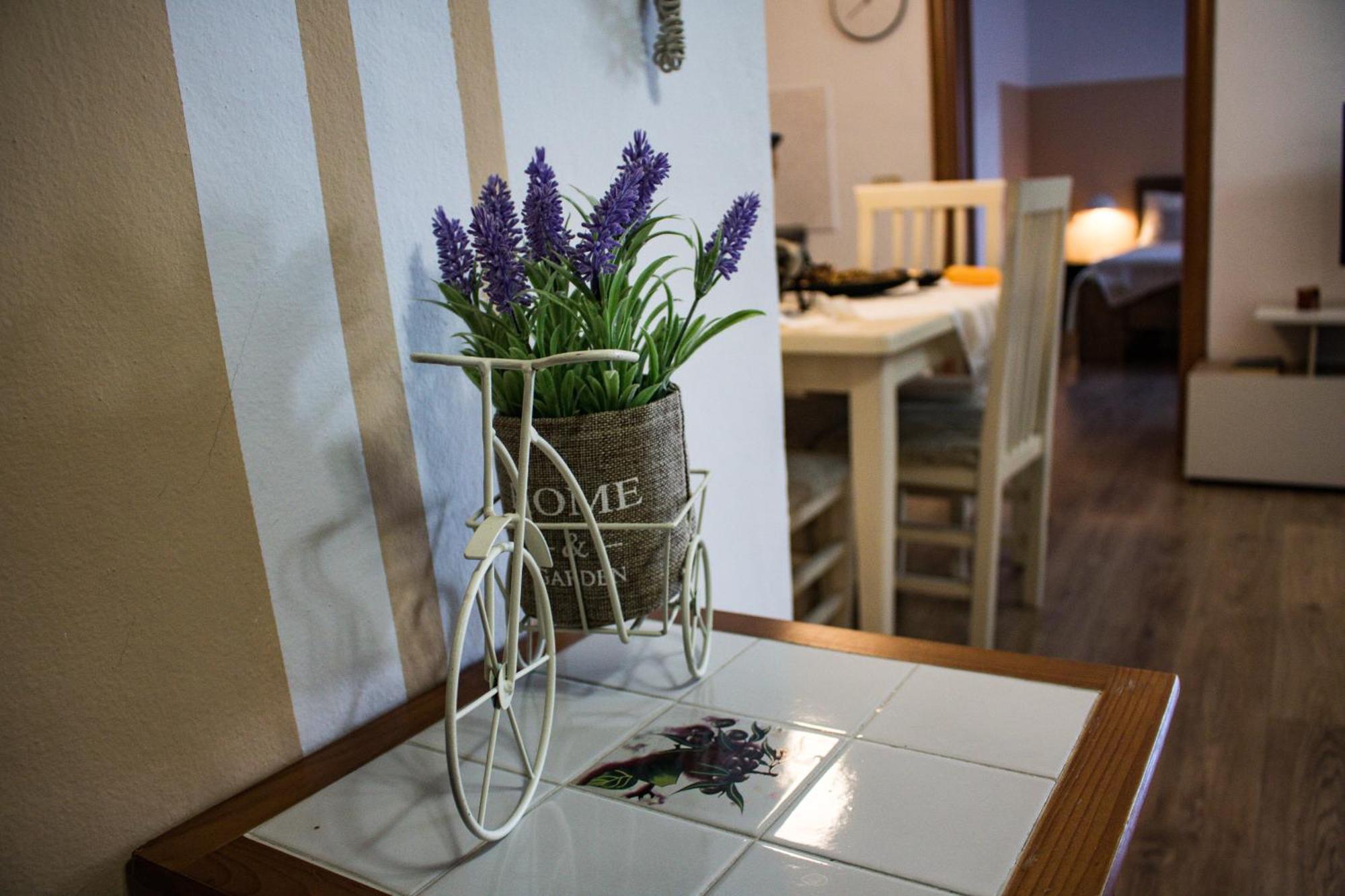 Angie'S Perfect Location Flat - Walk To Sights Tiranë Luaran gambar